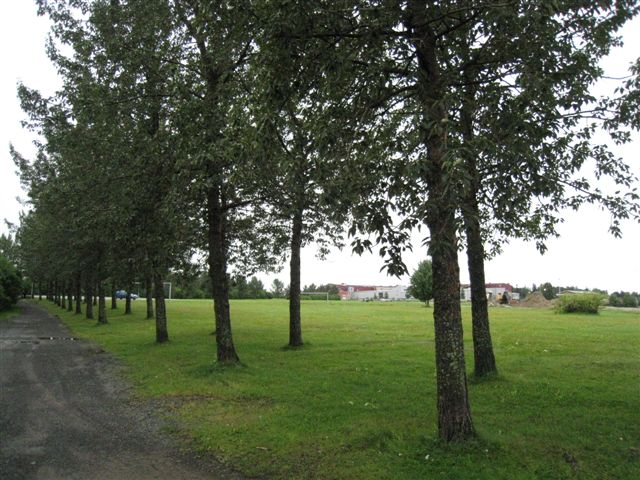 Raahe Rantapuiston viheriö. Hilkka Högström 2011