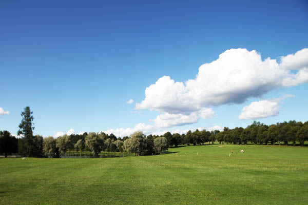 Kuva: Hämeenlinna Aulangon golfkenttä. Hanna Tyvelä 19.8.2011