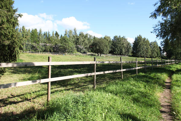 Kuva: Hämeenlinna Aulangon hevoshaka sijaitsee Vanajaveden rannassa. Hanna Tyvelä 19.8.2011