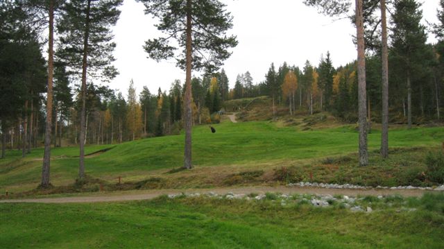Kuva: Rovaniemi Ounasvaaran golfpuiston rata-aluetta vaaran rinteellä. Hilkka Högström 2011