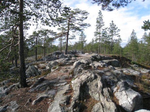 Kuva: Rovaniemi Ounasvaaran laen luontoa. Hilkka Högström 2011