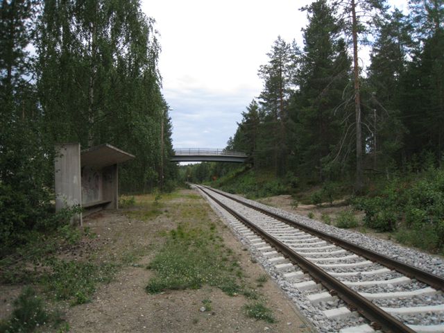 Sotkamo Vuokatin junaseisake Latu. Hilkka Högström 2011