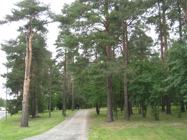 Oulu Raksilan liikuntapuiston reitistöä. Hilkka Högström 2011